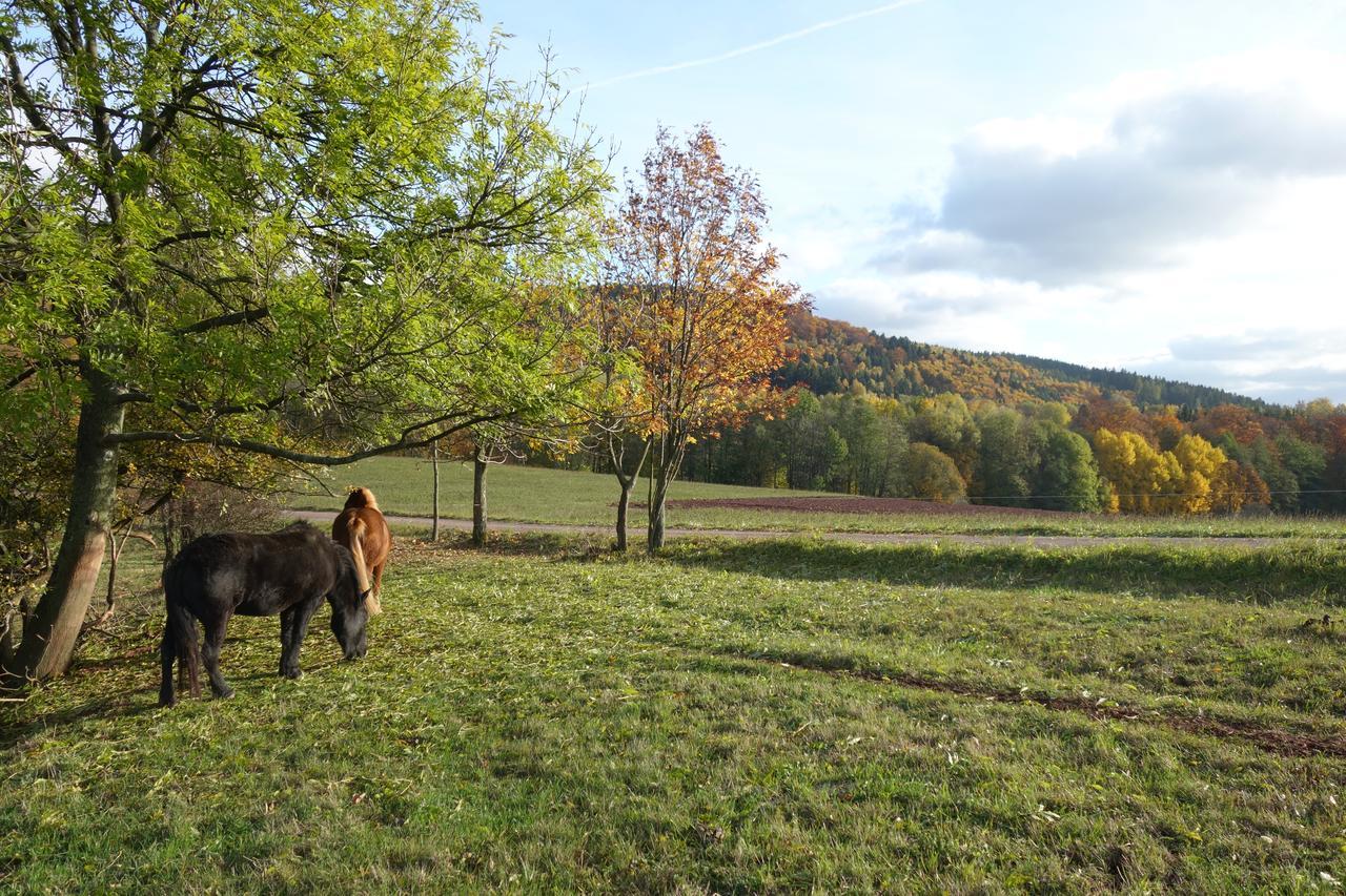 Maushaus Villa Rudnik Bagian luar foto